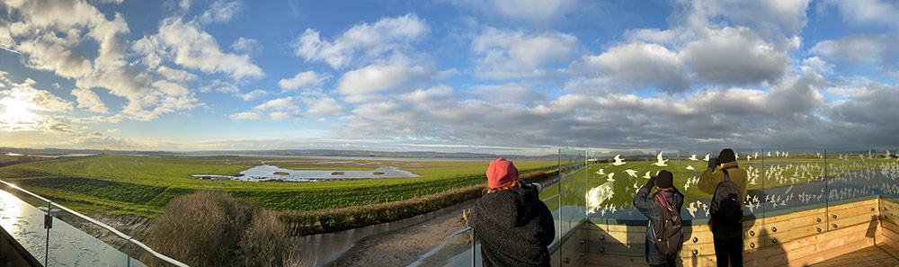 Estuary Tower Hide